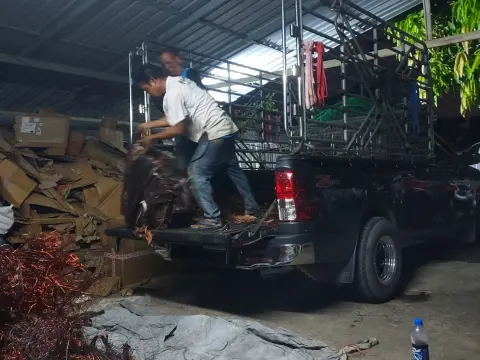 ร้านรับซื้อของเก่ากรุงเทพ (ภาพที่ 45)